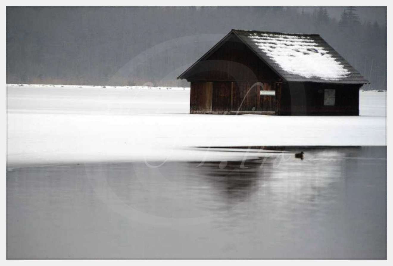 Nom de l'image : D1104667-nef-01 — Description :