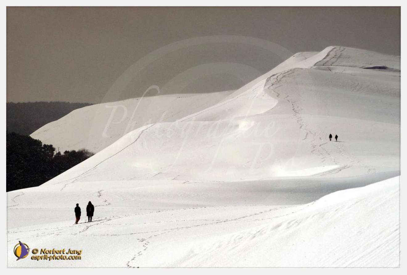 Nom de l'image : D1111950-nef-01 — Description :