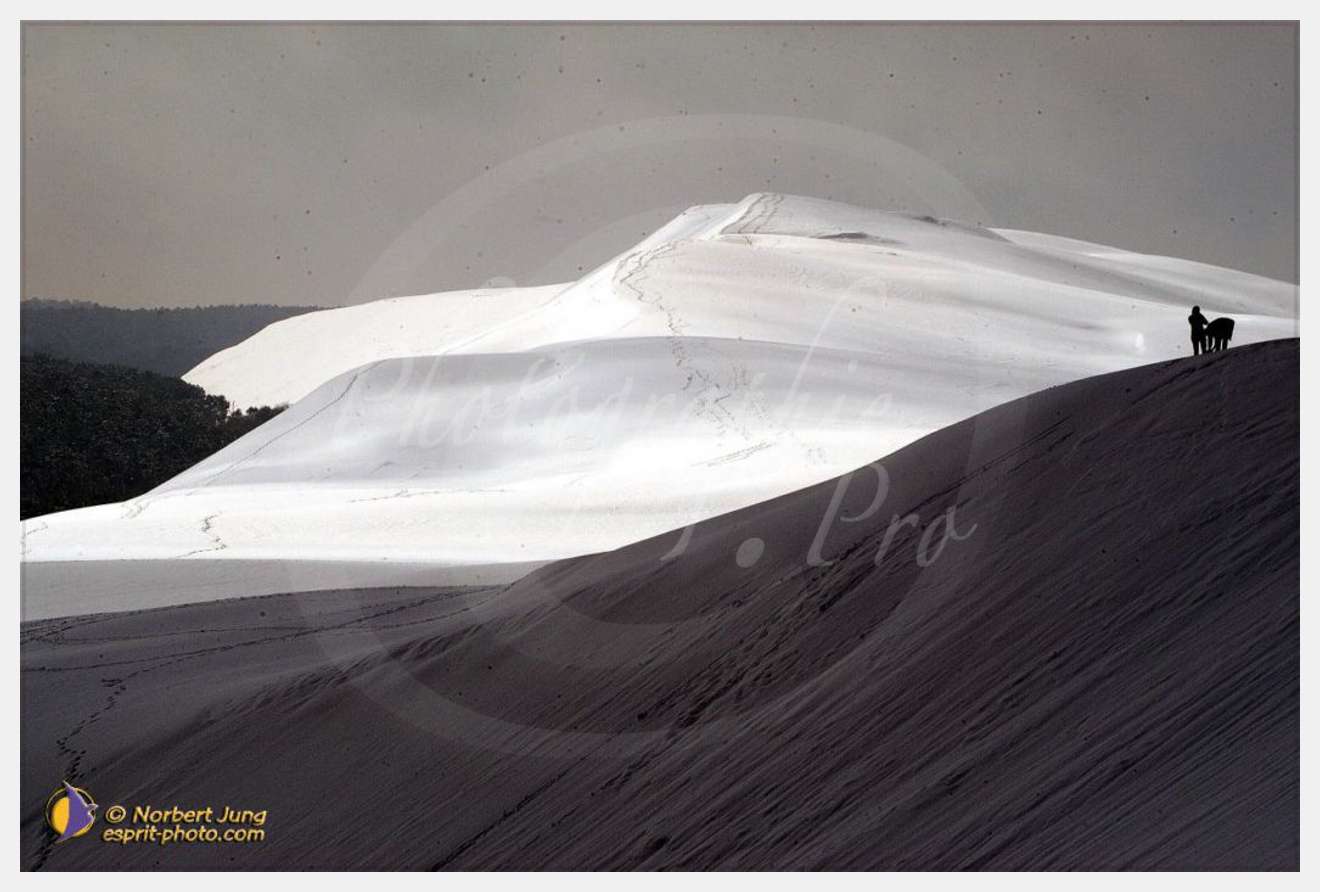 Nom de l'image : D1111980-nef-01 — Description :