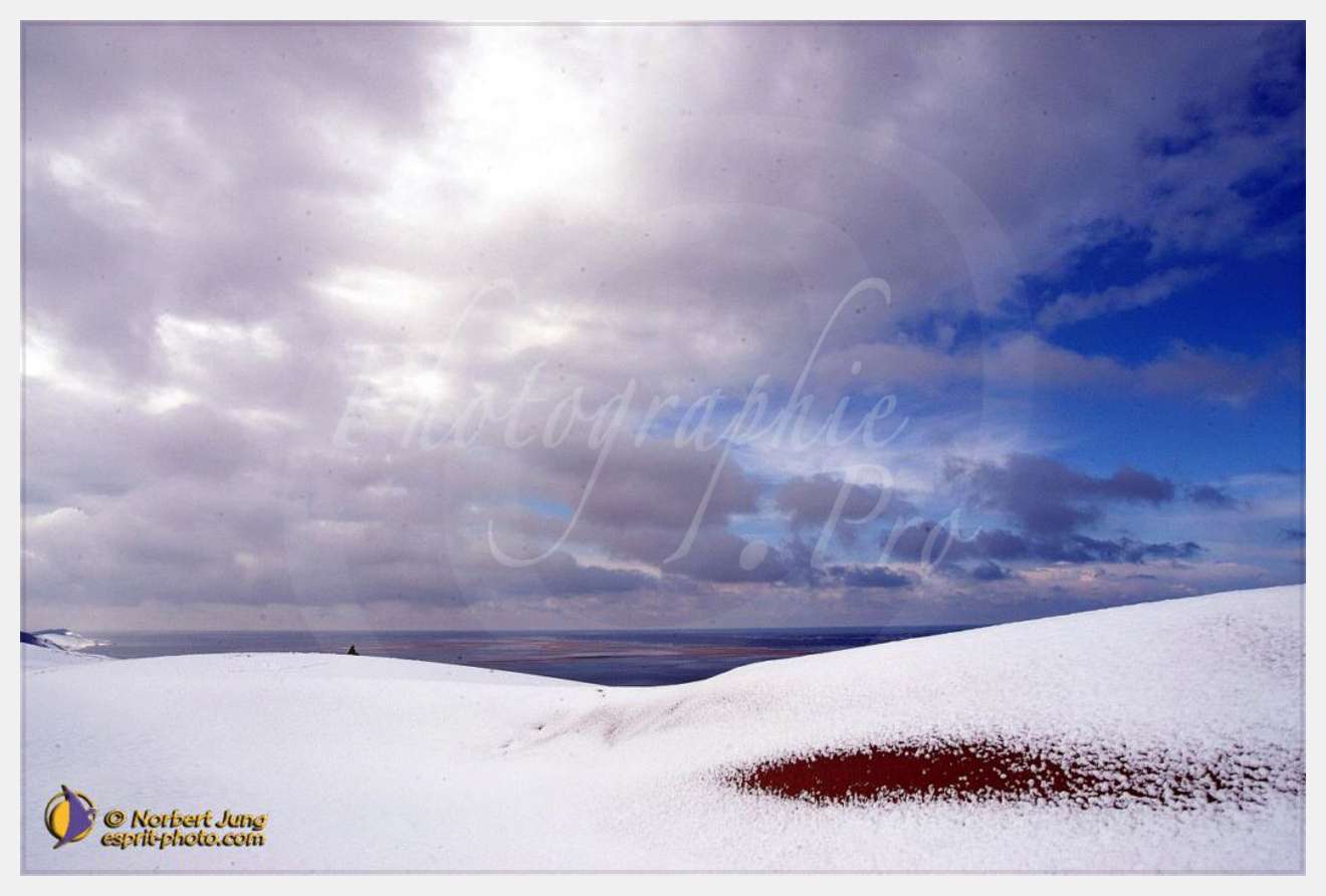 Nom de l'image : D1112098-nef-01 — Description :