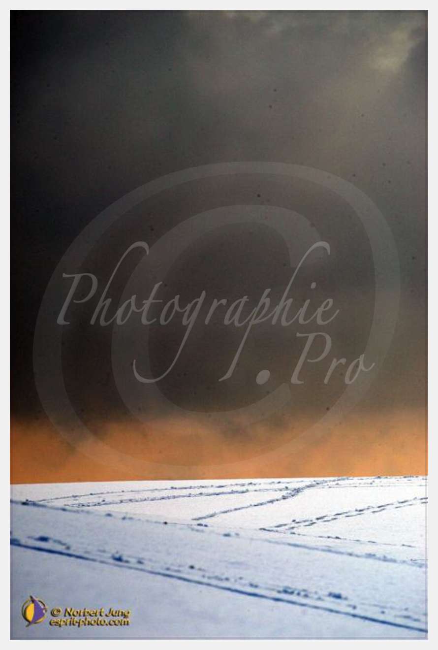 Nom de l'image : D1112125-nef-01 — Description :