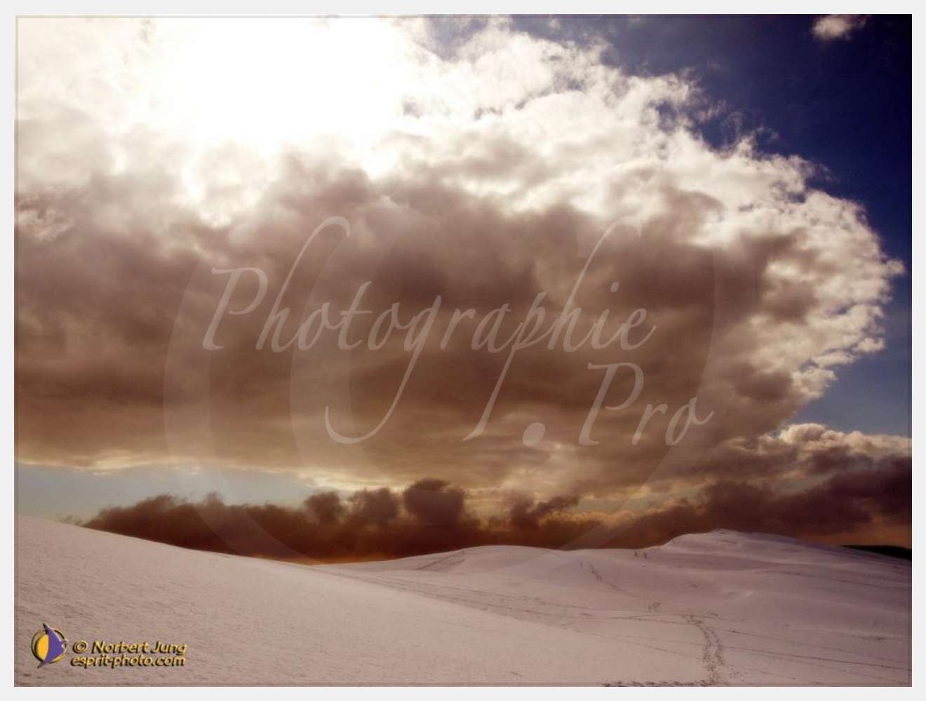 Nom de l'image : D1112129-nef-01-1600pix — Description :