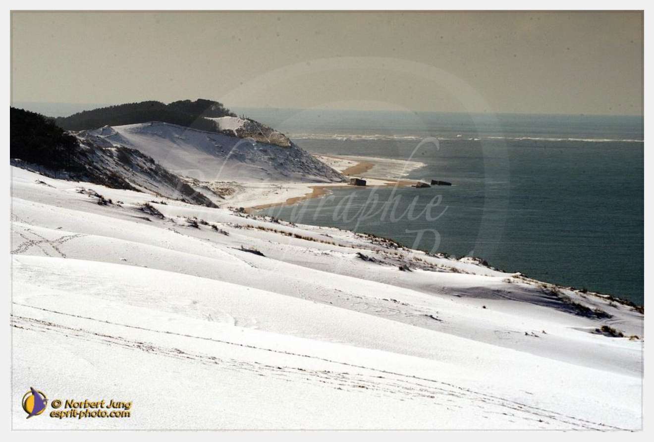 Nom de l'image : D1112162-nef-01 — Description :