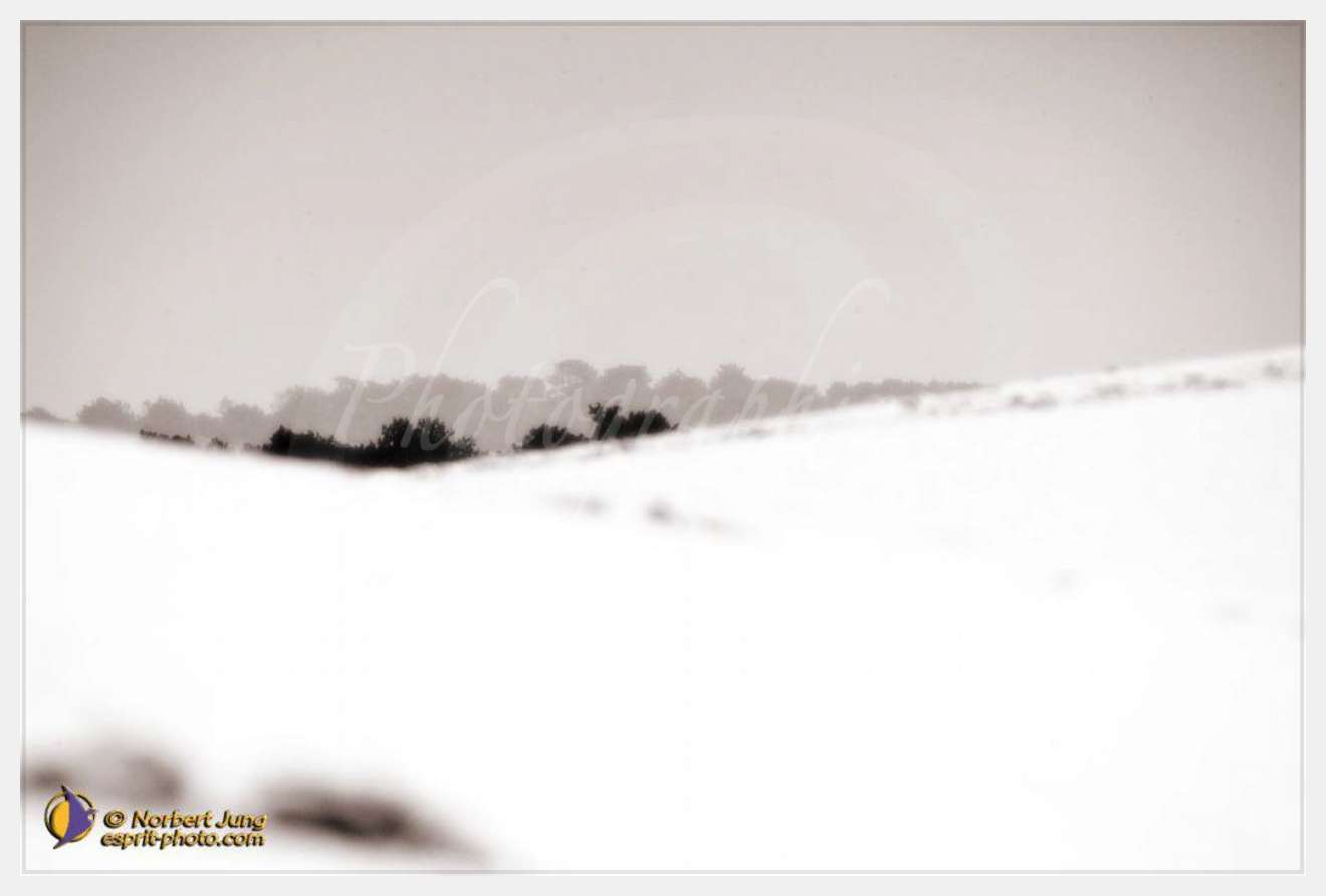 Nom de l'image : D1112165-nef-01sep — Description :