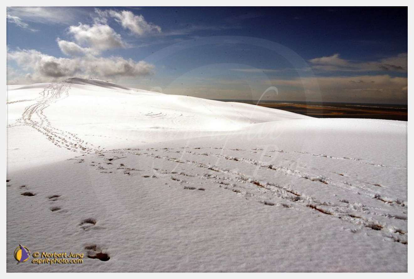 Nom de l'image : D1112221-nef-01 — Description :