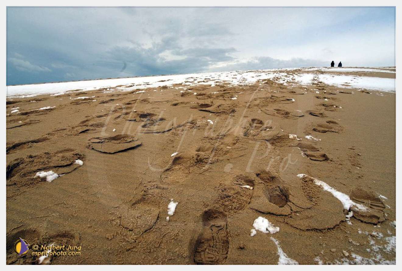 Nom de l'image : D1112336-nef-01 — Description :