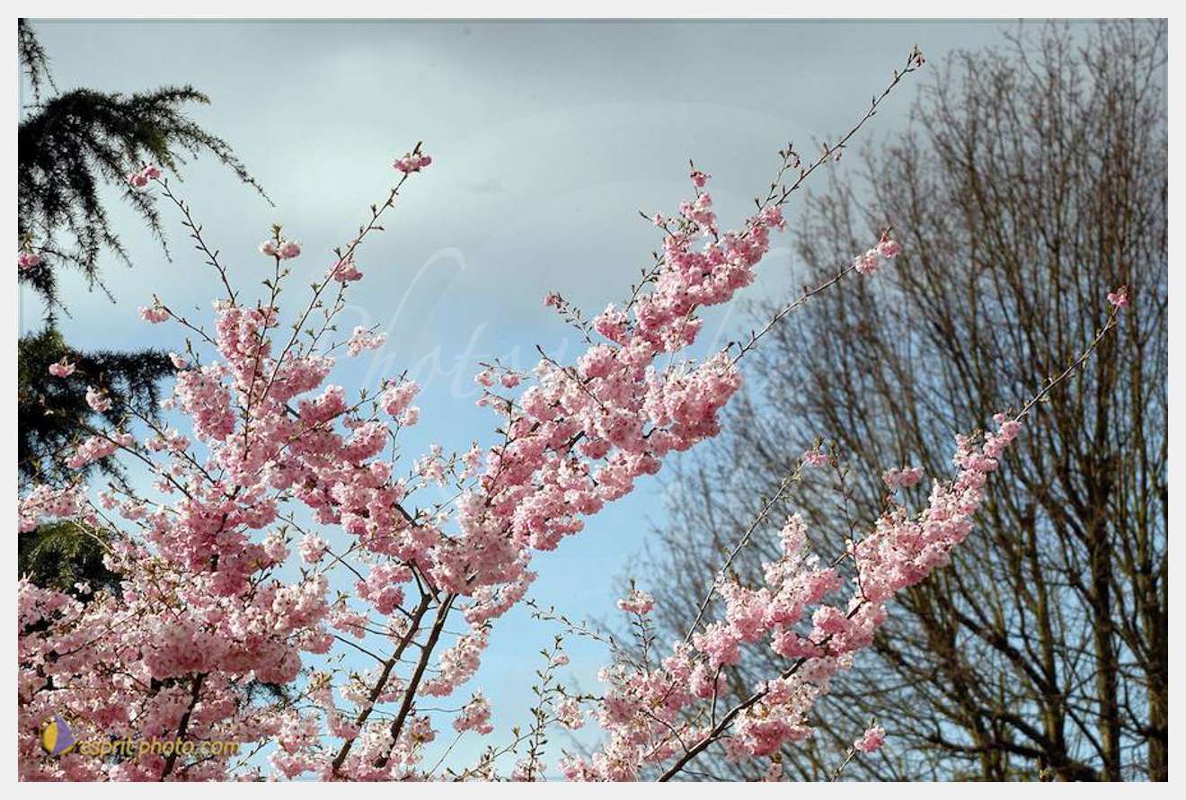 Nom de l'image : D1120233-01 — Description :  PE?lerinage de Chartres 2004