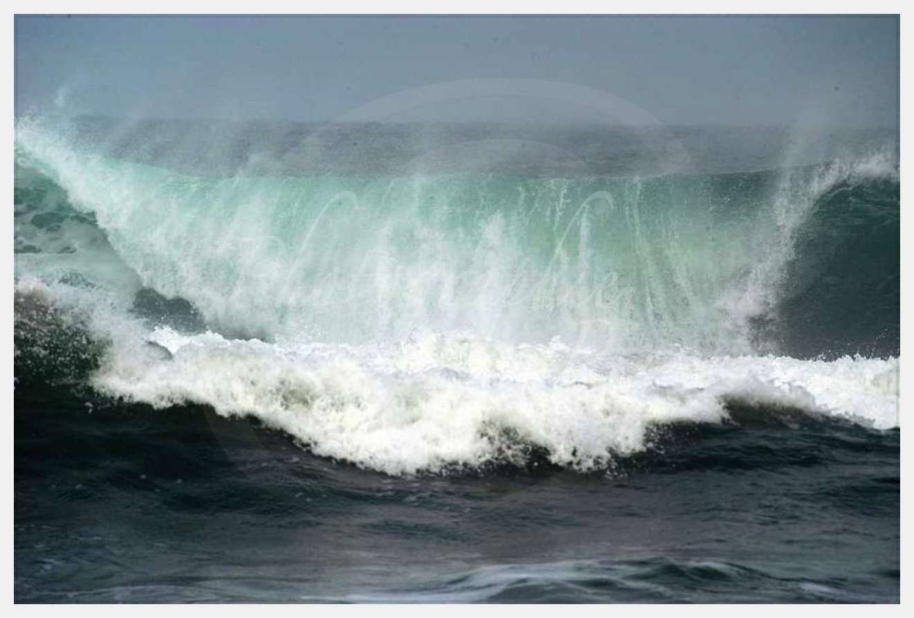 Nom de l'image : D1159342-01 — Description :