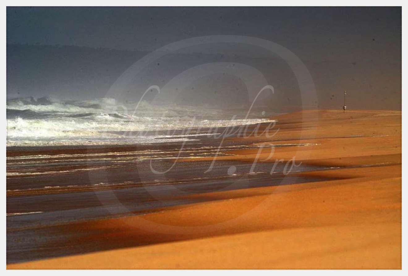 Nom de l'image : D1160036-01 — Description :