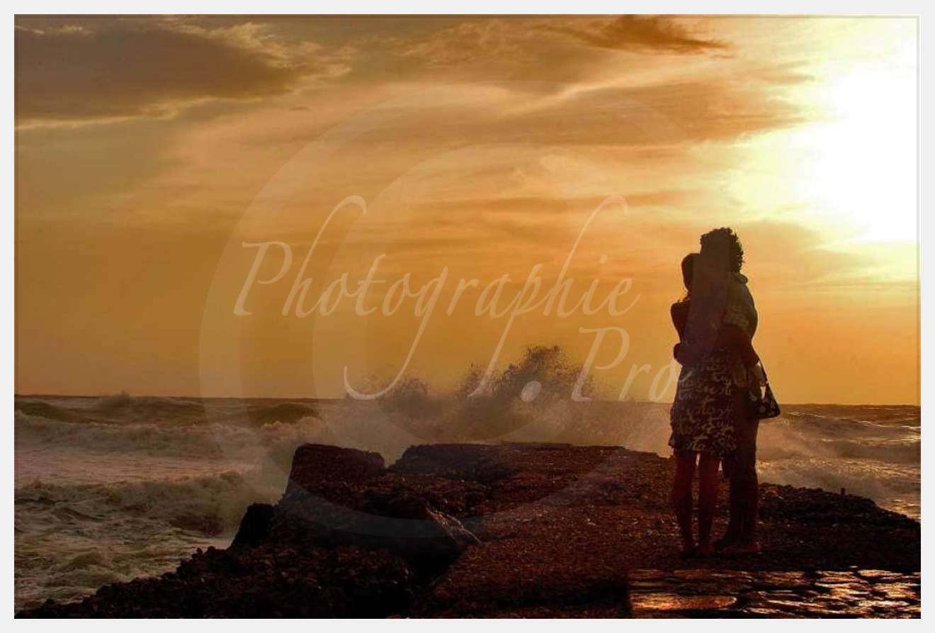 Nom de l'image : D1167465-1 — Description :