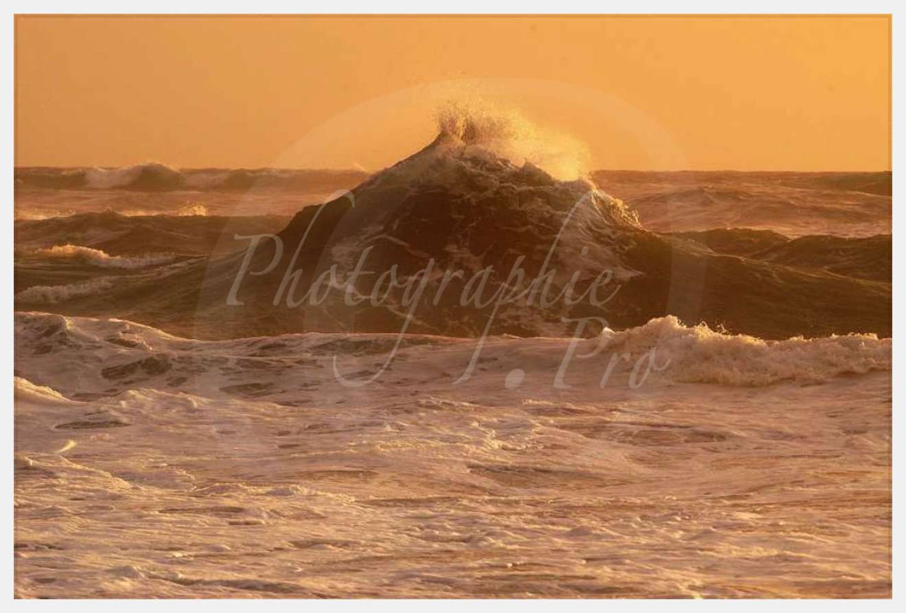 Nom de l'image : D1167637-1 — Description :