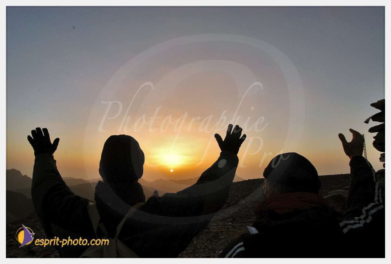 Nom de l'image : D1236014-1 — Description :