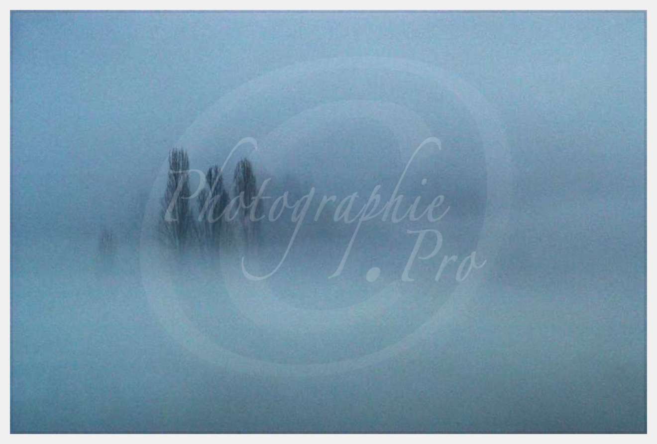 Nom de l'image : EG-300-1464-01 — Description :