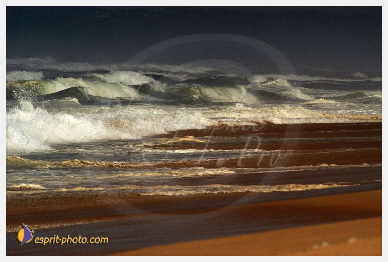 Nom de l'image : EP08-0349 — Description :