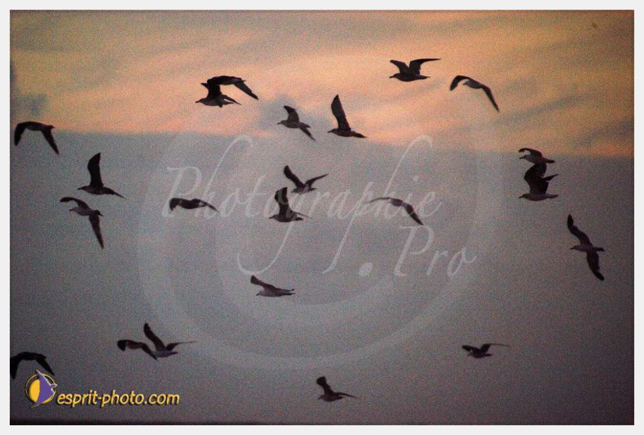 Nom de l'image : EP08-0354 — Description :