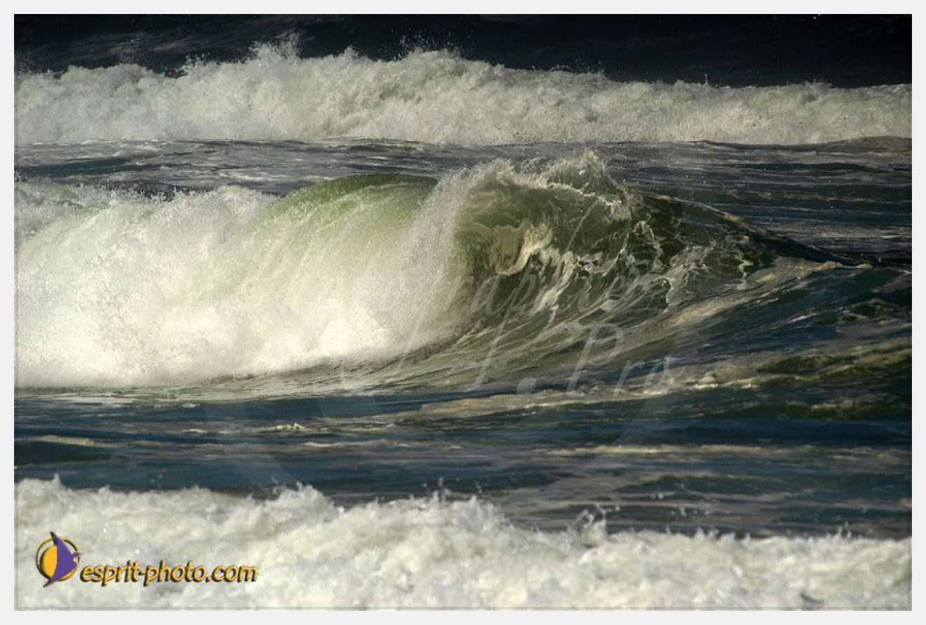 Nom de l'image : EP08-0362 — Description :