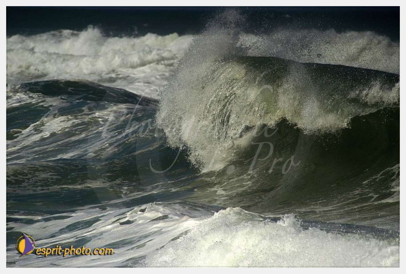 Nom de l'image : EP08-0363 — Description :