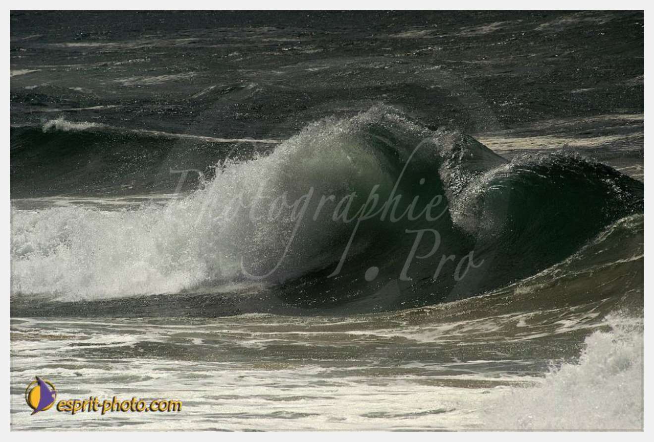 Nom de l'image : EP08-0367 — Description :