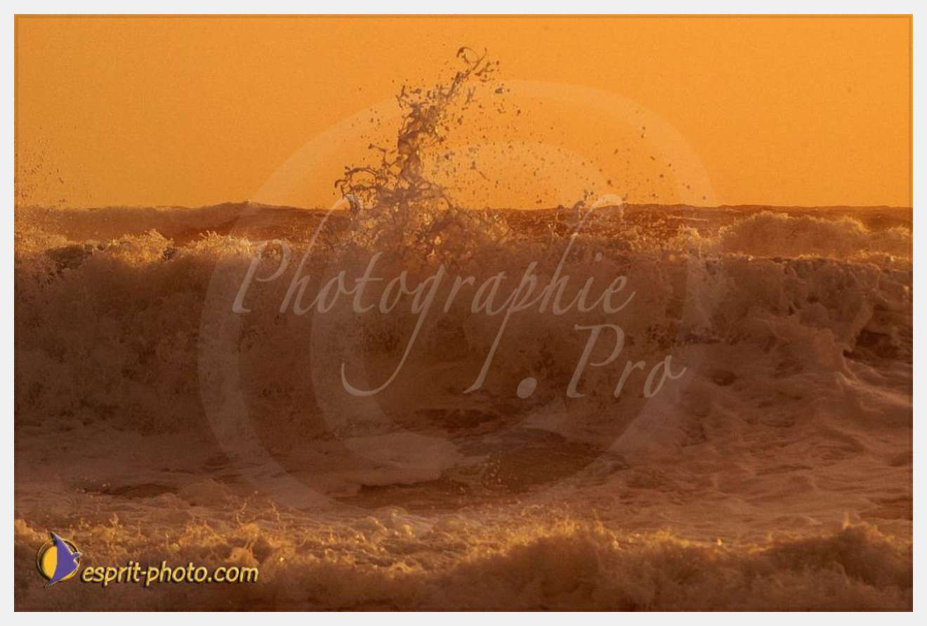 Nom de l'image : EP08-0378 — Description :