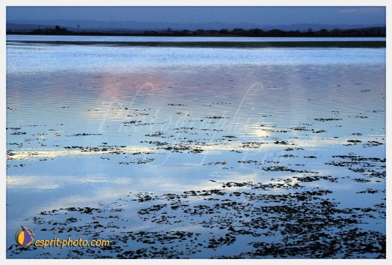 Nom de l'image : EP08-0395 — Description :