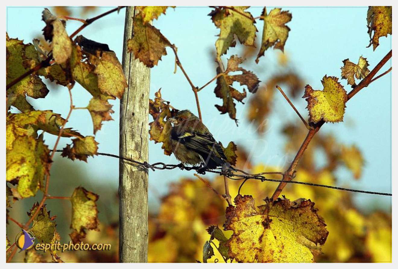 Nom de l'image : EP08-0407 — Description :