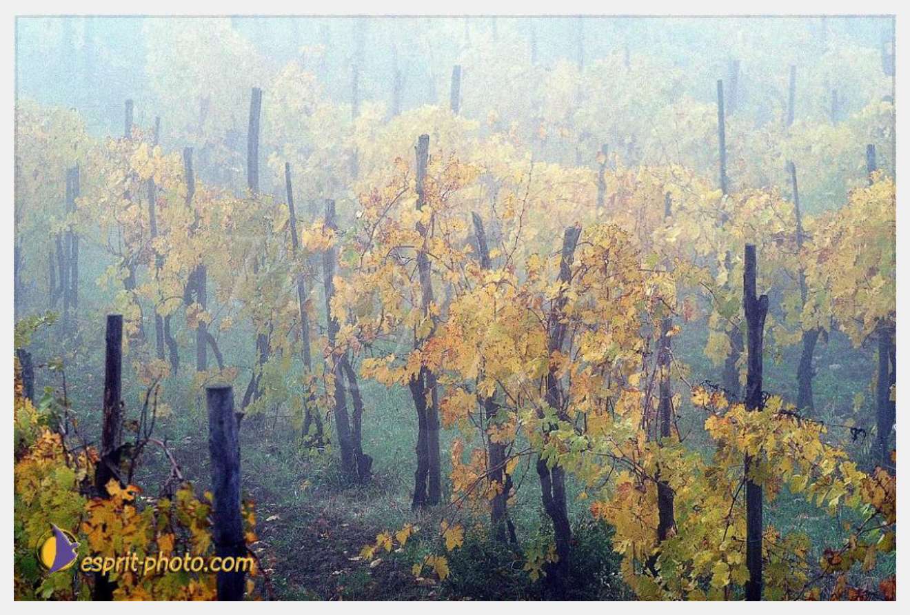 Nom de l'image : EP08-0409 — Description :