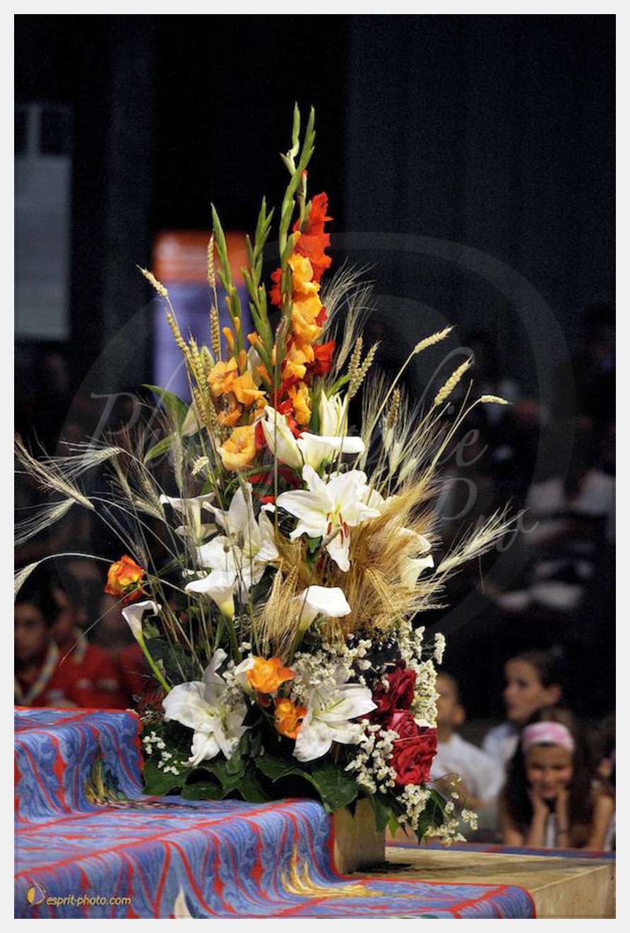 Nom de l'image : D30058271_1 — Description :