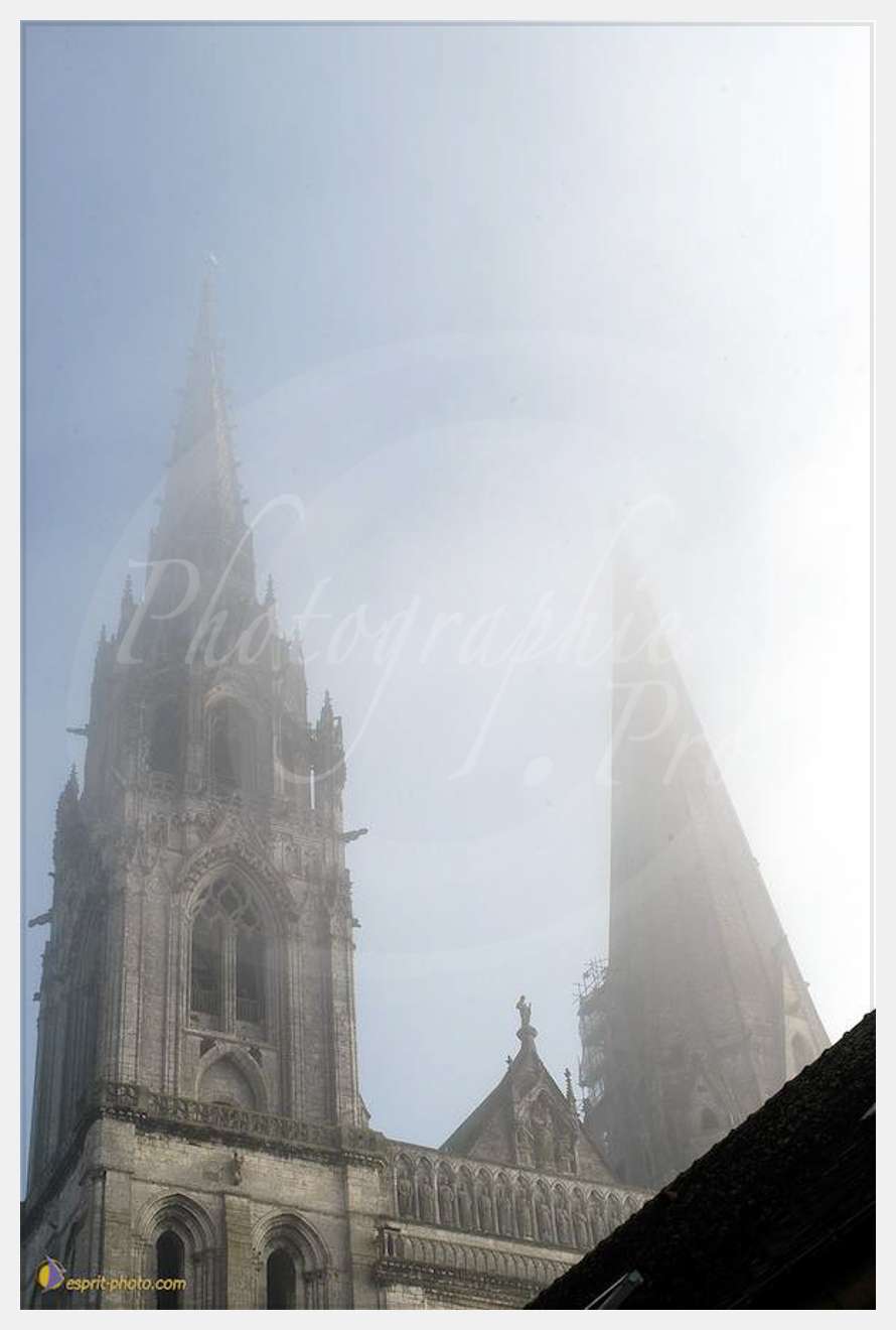 Nom de l'image : D1107463-01 — Description :