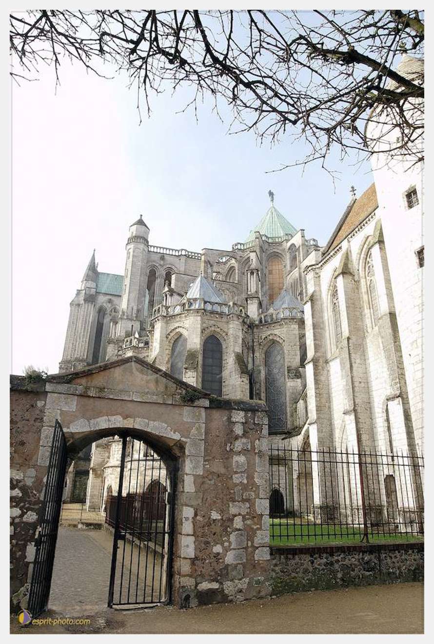 Nom de l'image : D1107501-nef-01 — Description :