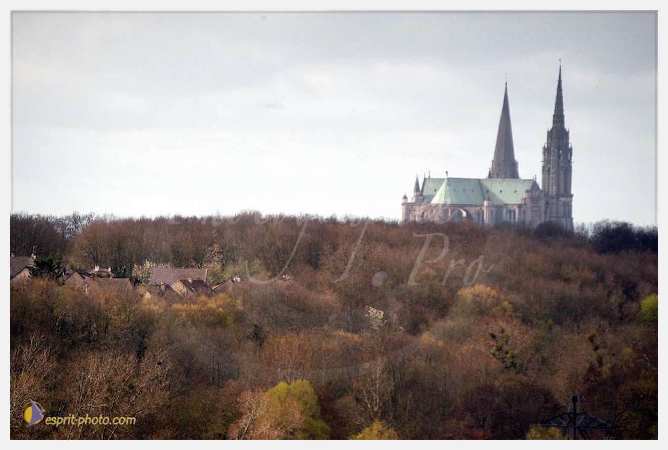 Nom de l'image : D1120185-01 — Description :  PE?lerinage de Chartres 2004