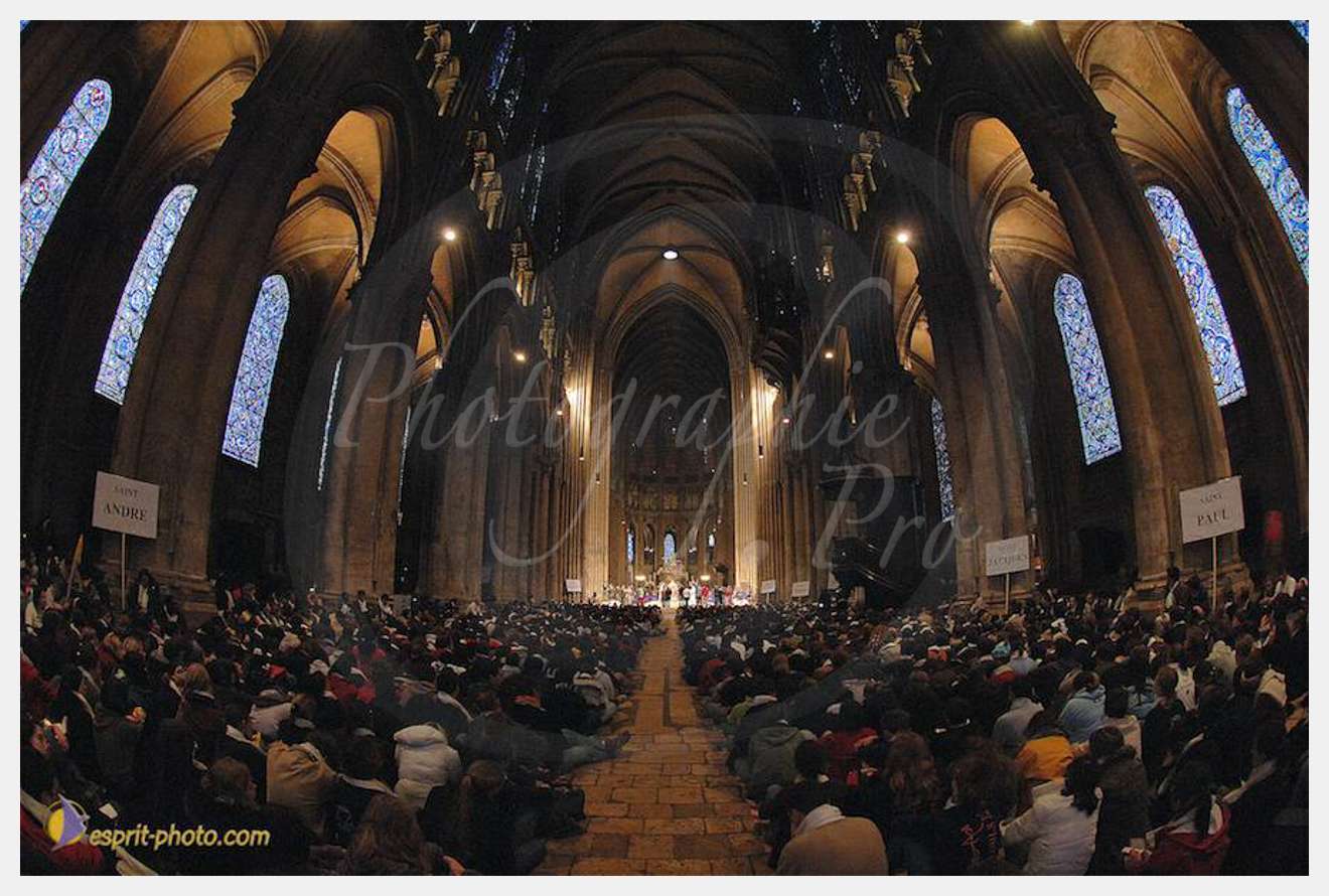 Nom de l'image : D2142982_1 — Description :