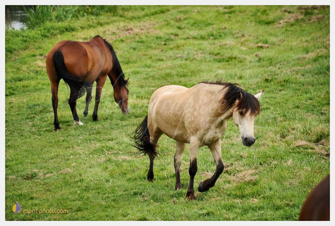 Nom de l'image : D30011787_1 — Description :