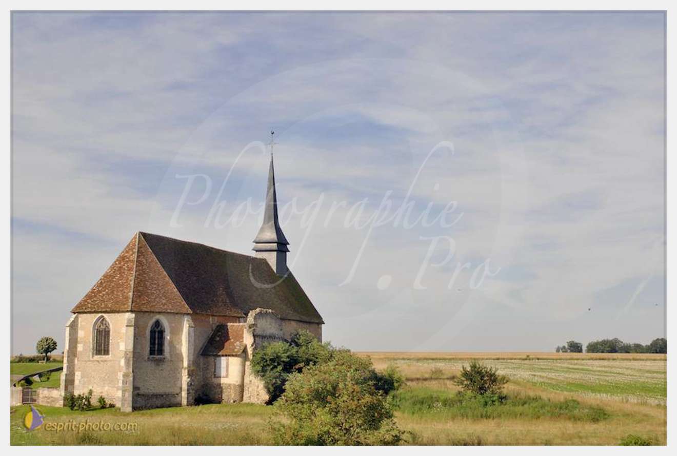 Nom de l'image : D2238000_1 — Description :