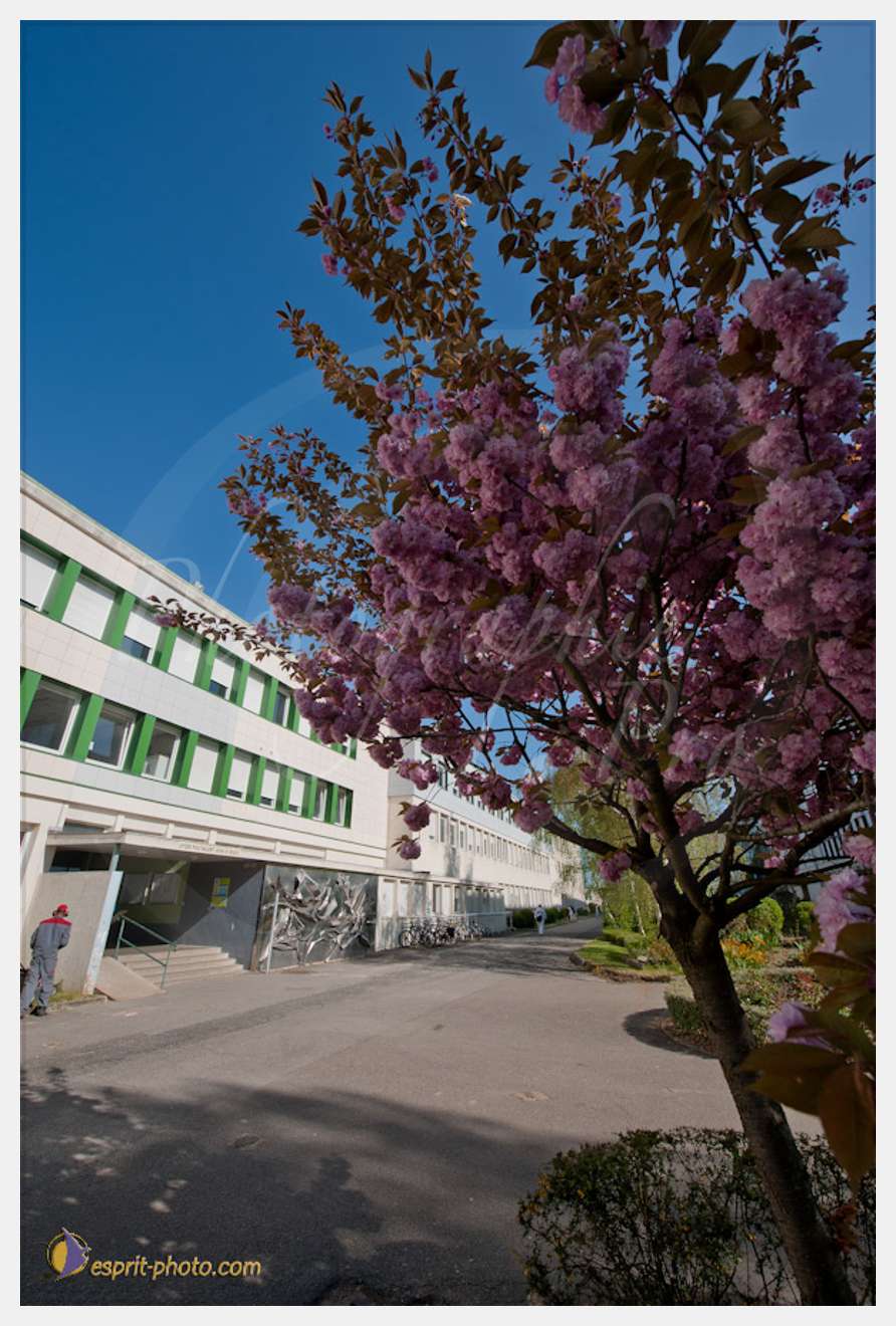 Nom de l'image : D30102036a.com — Description :