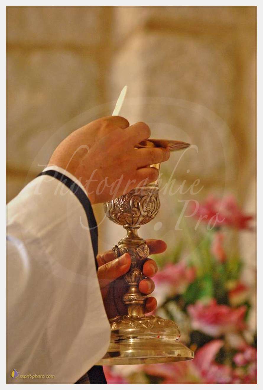 Nom de l'image : D2157827_1 — Description :