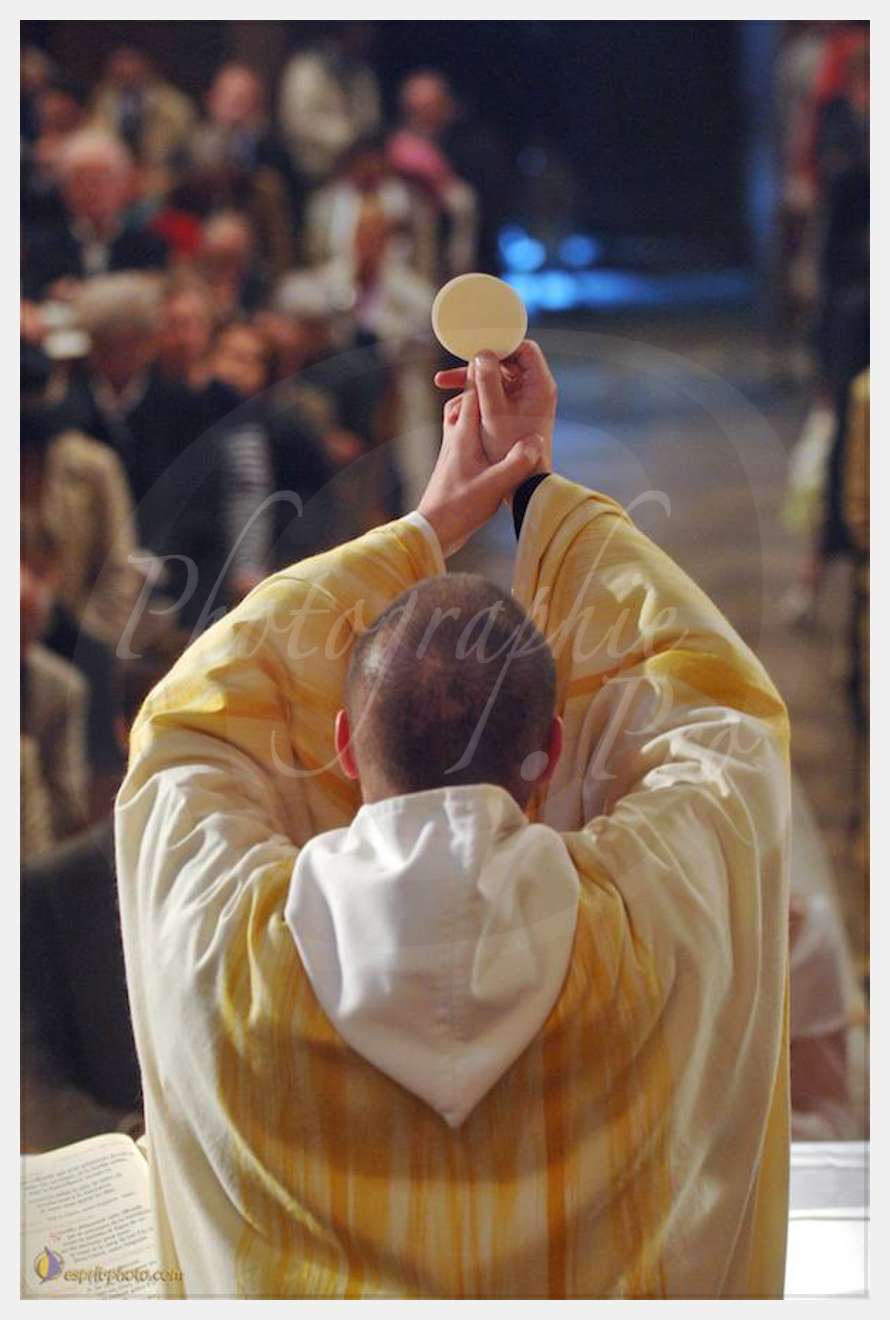 Nom de l'image : D2185264_2 — Description :