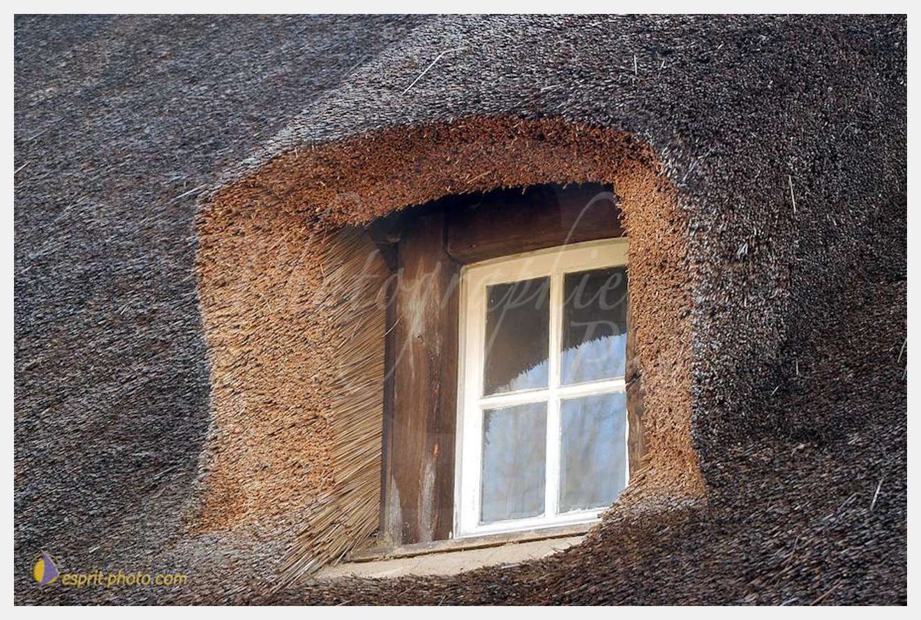 Nom de l'image : D1120010-01 — Description :  PE?lerinage de Chartres 2004