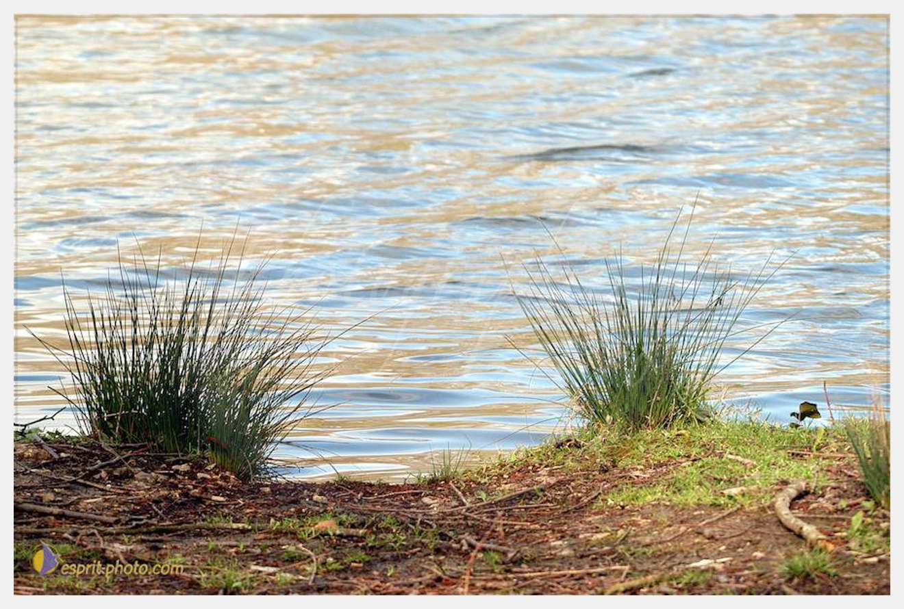 Nom de l'image : D1120217-01 — Description :  PE?lerinage de Chartres 2004