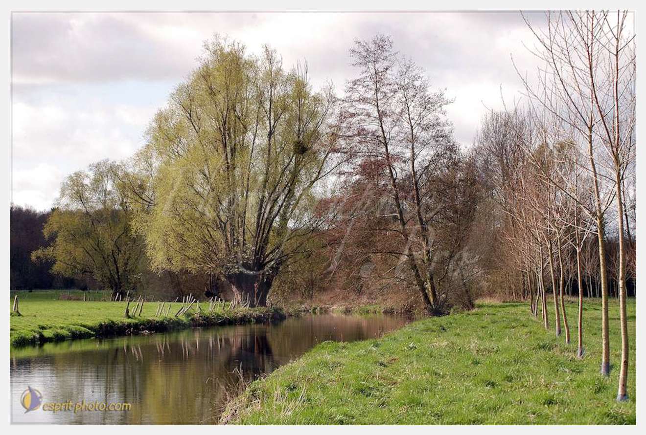 Nom de l'image : D1120230-01 — Description :  PE?lerinage de Chartres 2004