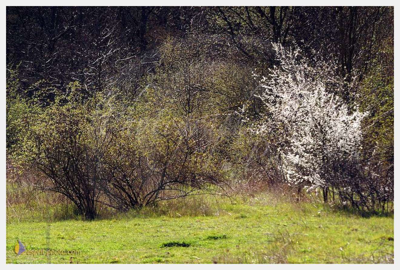 Nom de l'image : D1120237-01-2 — Description :  PE?lerinage de Chartres 2004