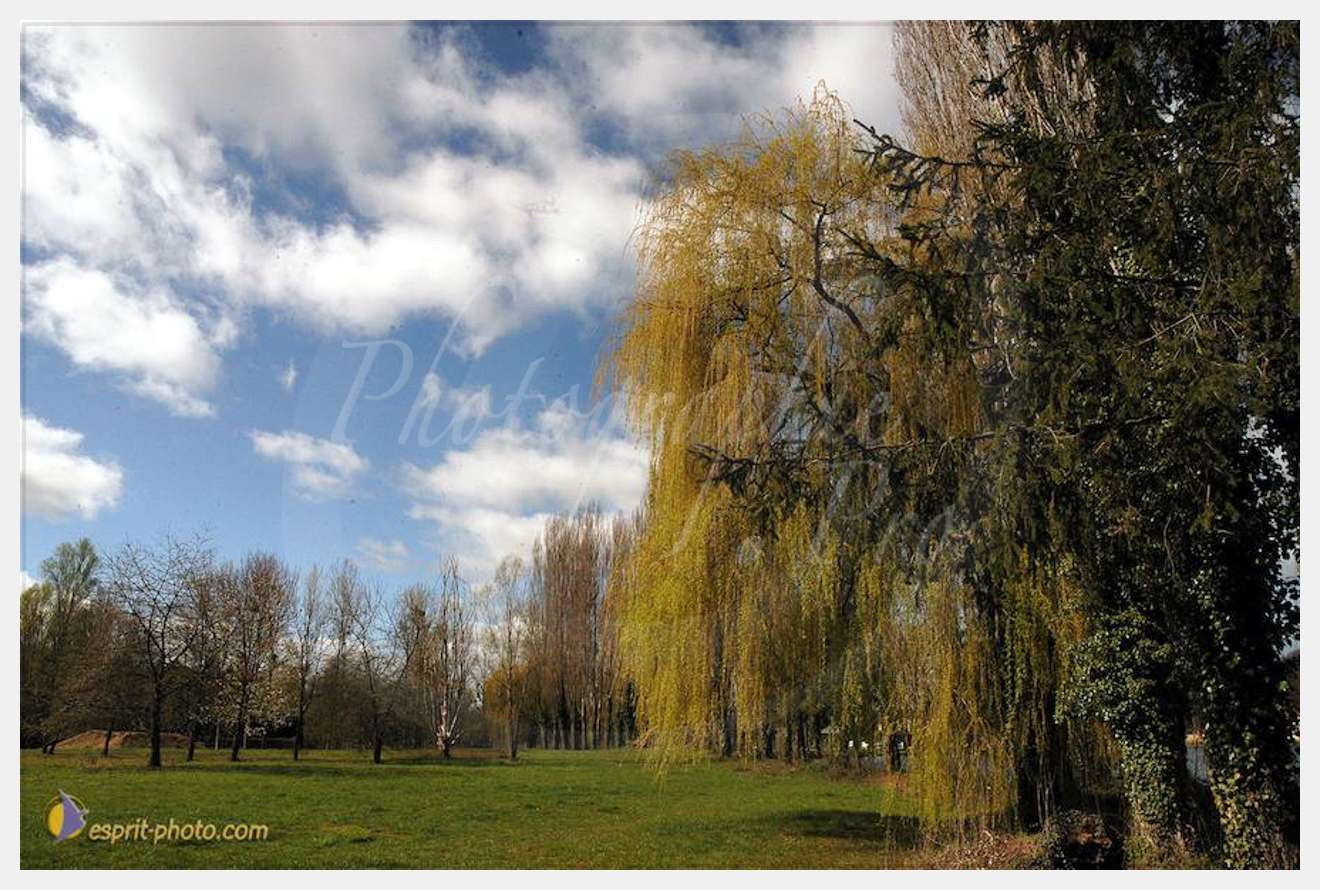 Nom de l'image : D1120239-01-2 — Description :  PE?lerinage de Chartres 2004