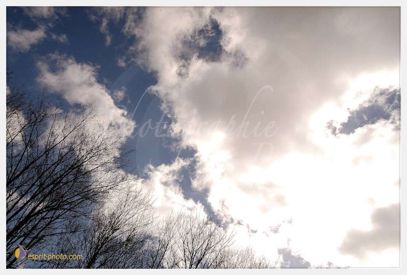 Nom de l'image : D1120342-01 — Description :  PE?lerinage de Chartres 2004