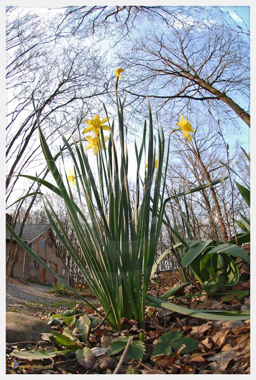 Nom de l'image : D2214655_1 — Description :