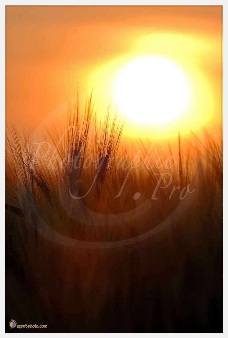 Nom de l'image : D2225131_1 — Description :