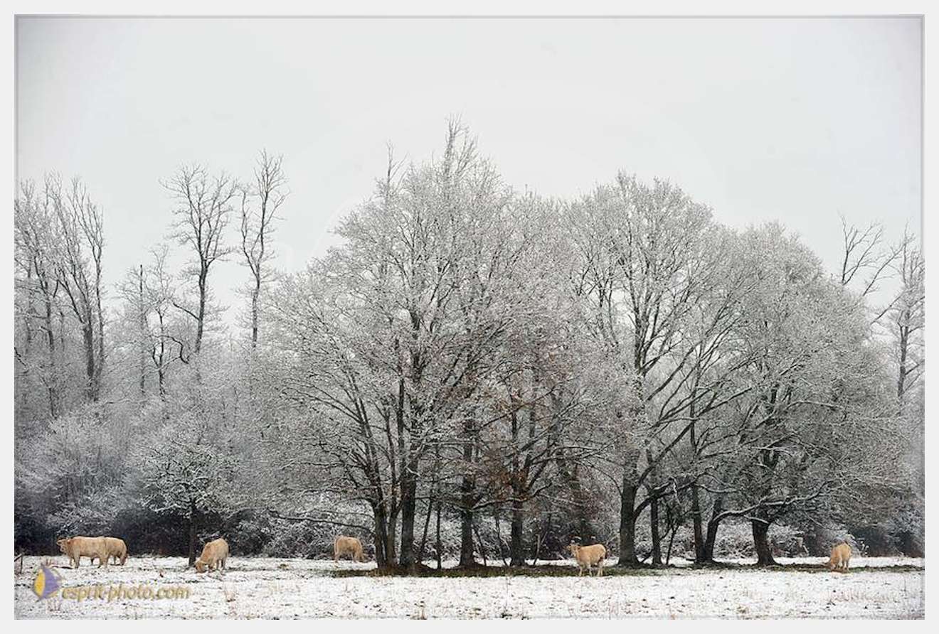 Nom de l'image : D30038024_1 — Description :