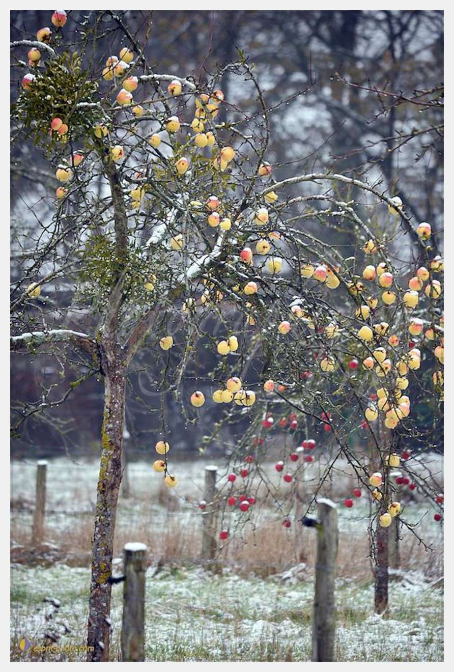 Nom de l'image : D30038085_1 — Description :