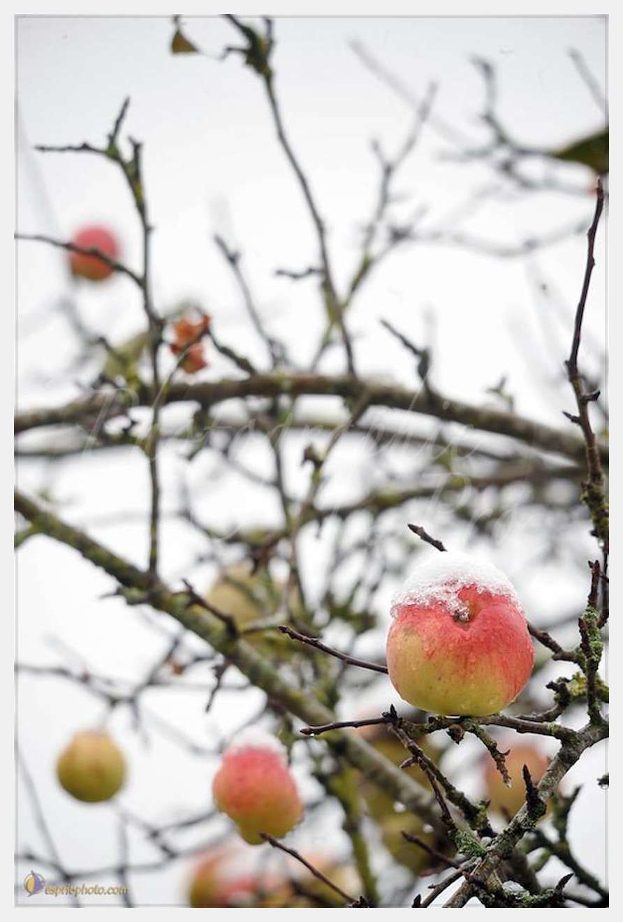 Nom de l'image : D30038093_1 — Description :