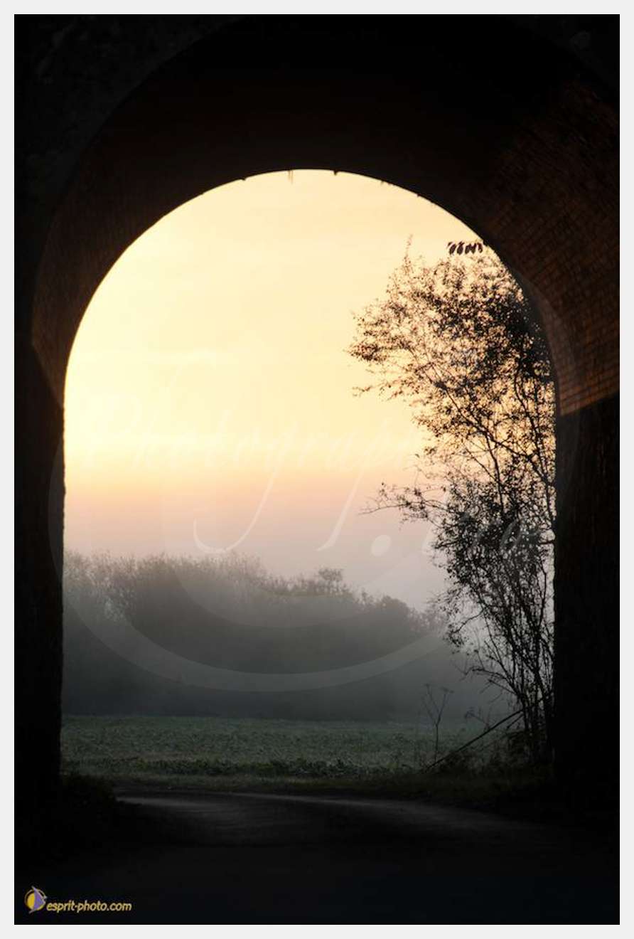 Nom de l'image : D30082663_1 — Description :