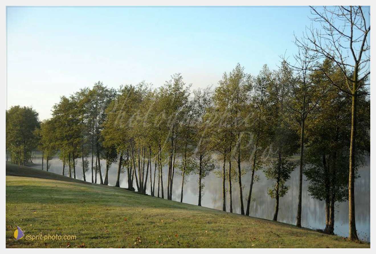 Nom de l'image : D30082668_1 — Description :