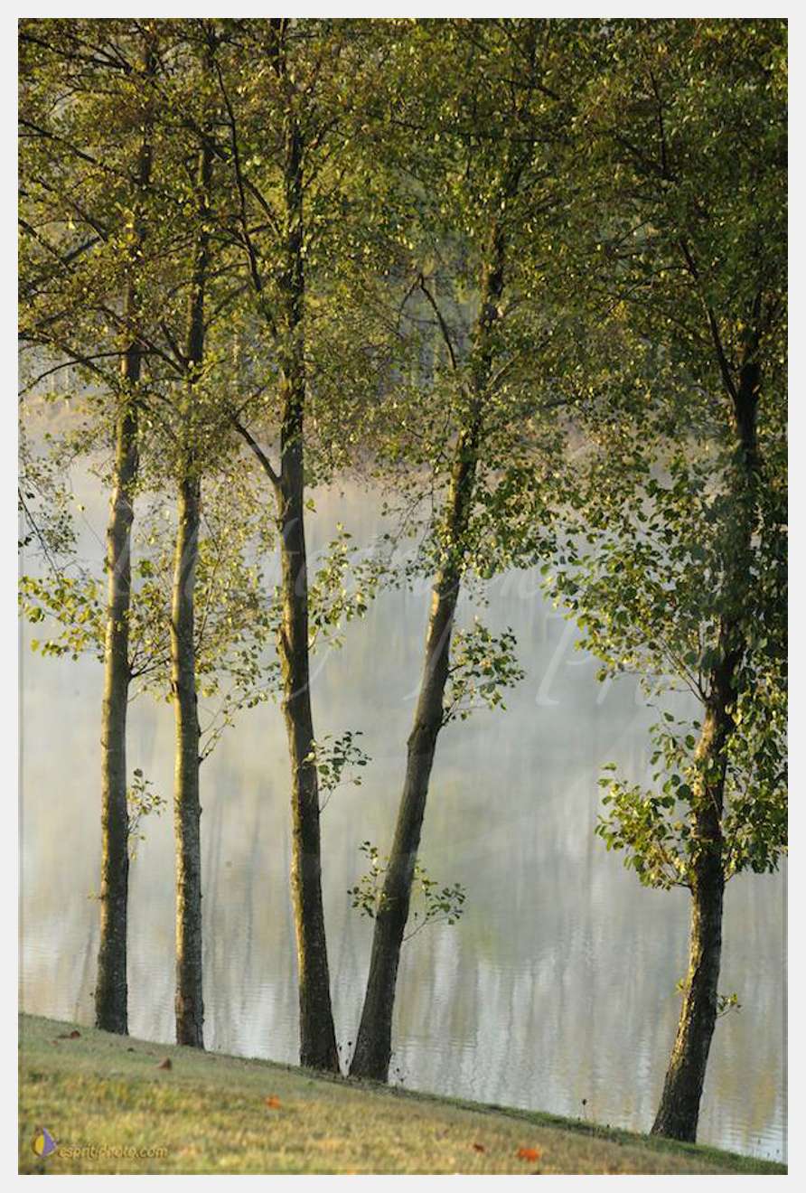 Nom de l'image : D30082670_1 — Description :